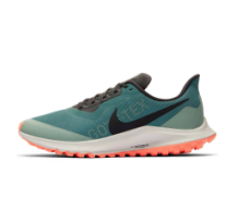 Nike Zoom Pegasus 36 Trail Gore Tex Bicoastal GTX (BV7763-300)