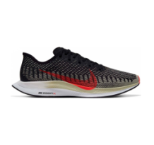 Nike Zoom Pegasus Turbo 2 (AT2863-011)