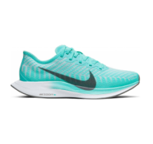 Nike Zoom Pegasus Turbo 2 Aurora (AT8242-302)