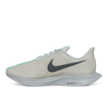 Nike Zoom Pegasus Turbo Berlin (AV7005-001)