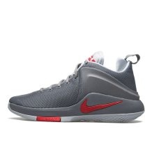 Nike Zoom Witness EP Grey (884277-005)