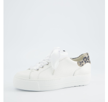 Paul Green 0078 5520 008 (5520-008)