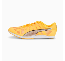 PUMA evoSPEED Distance 10 (377381_01) in orange