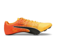 PUMA Evospeed Future Fast 4 Faster (380034-01)