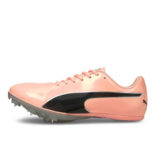 PUMA evoSPEED Sprint 10 (193452/004)