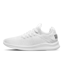 PUMA Flash Ignite Evoknit En Pointe Low Top (190961-02)