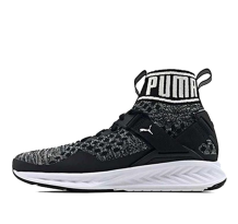 PUMA Ignite evoKNIT (189766-01)