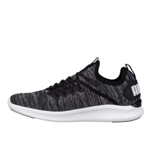 PUMA Ignite Flash Evoknit Low Running (190511-01)