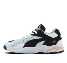 PUMA Performer Clay (371911-02)
