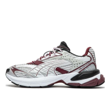 PUMA Velophasis Phased Burgundy (389365-08)