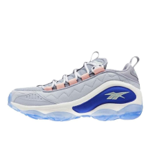 Reebok Dmx Run 10 Non Slip Wear resistant Sports Gray Blue CN5386 (CN5386)