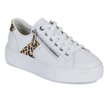 Rieker Plateau (N4924-81)