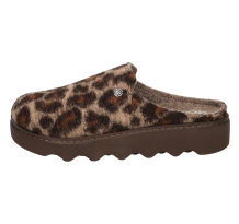 Rohde Foggia (6101-72 FOGGIA-D)