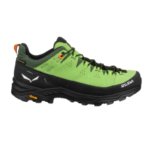 Salewa Alp Trainer 2 GTX (00-0000061400-5660) in grün