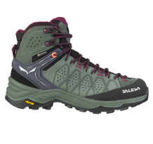 Salewa Alp Trainer 2 Mid GTX (61383-5085) in grün