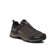 Salewa Mountain Trainer Lite GORE TEX (61361-7512) in braun