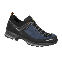 Salewa MS MTN Trainer 2 GTX (00-0000061356-2490)