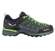 Salewa MTN Trainer Lite GTX (61361 5945)