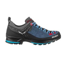 Salewa MTN Trainer GTX 2 (61358-8679) in blau