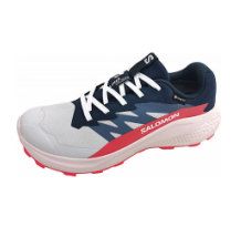 Salomon Alphaglide GTX (L47802300-LUN)