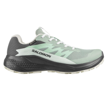 Salomon Alphaglide GTX (LI7071-L49142500)