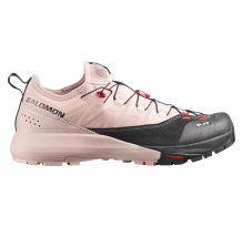 Salomon Alpinway (L49132000)