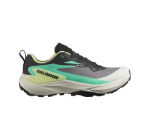 Salomon Genesis Gore tex (L47767500) in grau