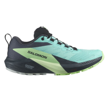 Salomon Sense Ride 5 GTX (LI3171-L47216000)