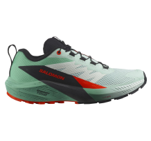 Salomon Sense Ride 5 (L47698300) in grün