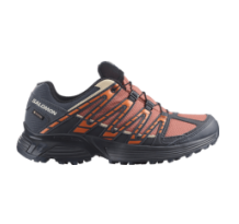 Salomon SHOES XT RECKON GTX W Cedar Wood Ebony C (L47214000)