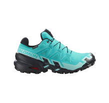 Salomon Speedcross 6 GTX (L47765600)