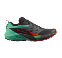 Salomon SENSE RIDE 5 (L47698200) in schwarz