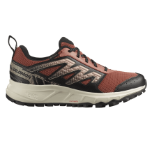 Salomon WANDER GTX (LI3193_L47149700)