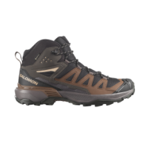 Salomon X Ultra 360 Mid GTX L45473200 (L45473200)