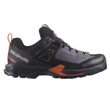 Salomon X Ultra Alpine Gore Tex (L47567300) in grau