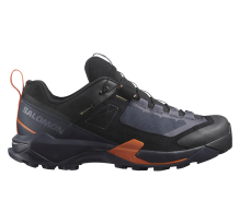 Salomon X ULTRA ALPINE Gore Tex GTX (L47686200) in blau