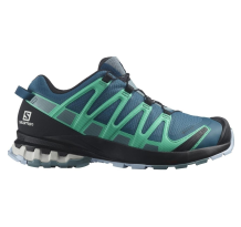 Salomon XA PRO 3D v8 GTX W (L41629600)