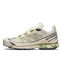 salomon Bold XT 6 FT Beige Green (417424)