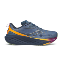 Saucony Triumph 22 GTX (S10966-253)