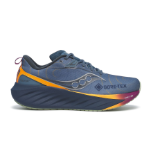 Saucony Triumph 22 GTX (S20966-253)