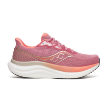 Saucony Triumph 23 (S11023-121)