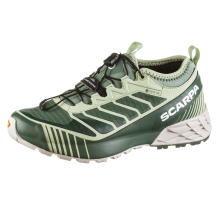 Scarpa Ribelle Run GTX (33078G-L;984) in grün