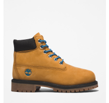 Timberland Premium 6 Inch Boot (TB0A5T512311) in braun