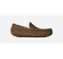 UGG Ascot (1101110-LBNZ)
