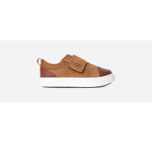 UGG UGG Rennon Low (1117454T-CHE)