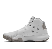 Under Armour Anomaly Grey (3021266-101)