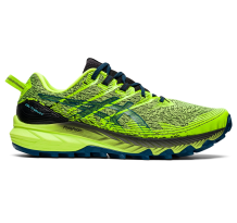 Asics Gel Trabuco 10 (1011B329.300)