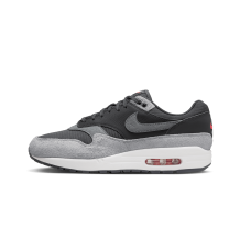 Nike Air Max 1 Premium (HJ9292-070)