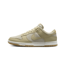 Nike Dunk Low (DZ4513-200)