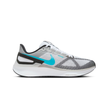 Nike Structure 25 (DJ7883-109) in grau